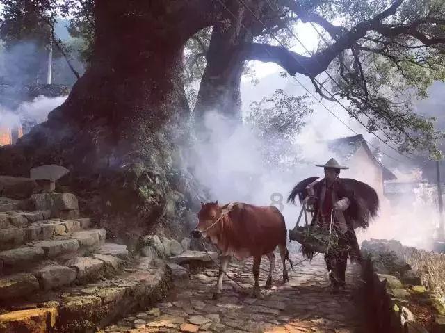魔法后院逃生
