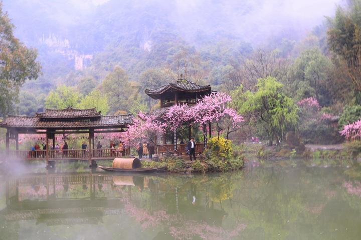 茂密丛林逃生