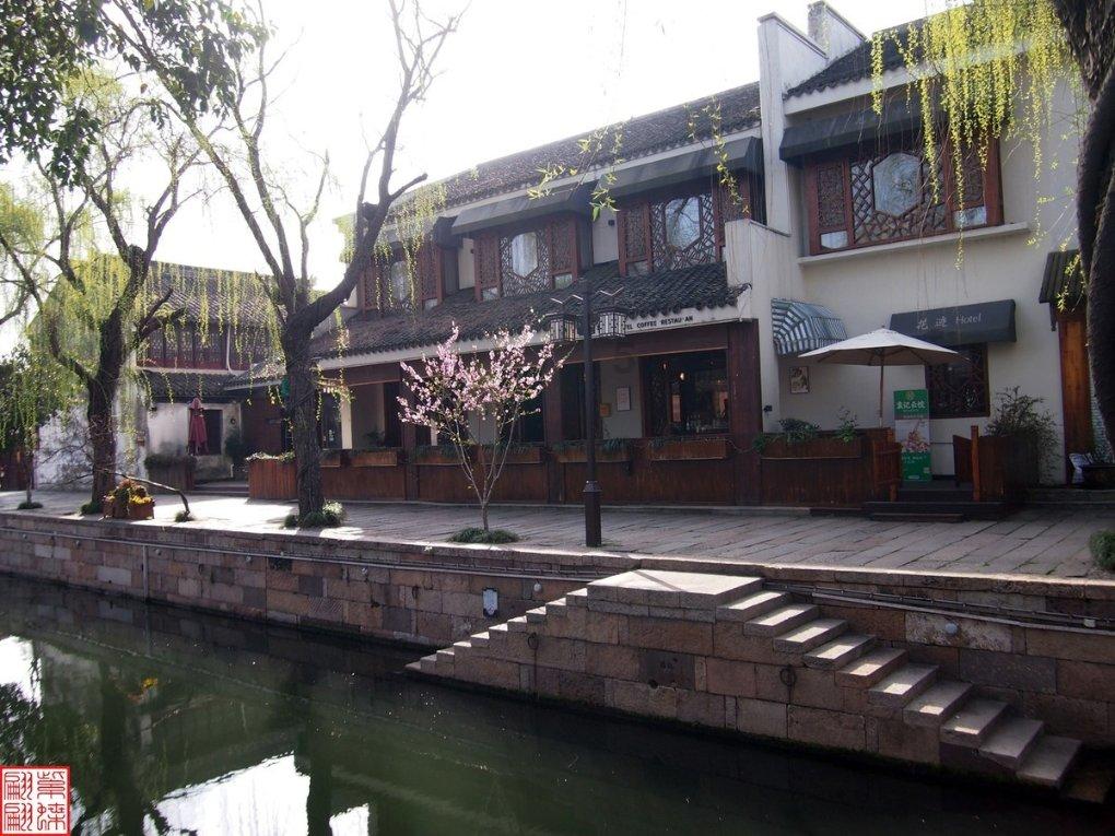拯救精灵的土地10
